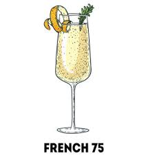 Illustration of a French 75 cocktail served in a flute glass, garnished with a lemon twist and a sprig of rosemary, with the text 'French 75' below.